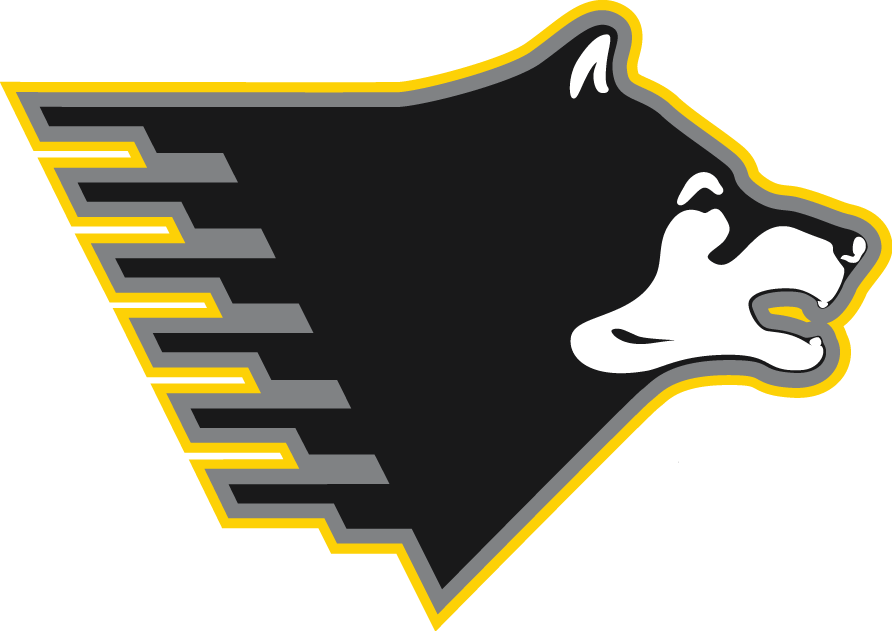 Michigan Tech Huskies 2005-Pres Partial Logo DIY iron on transfer (heat transfer)